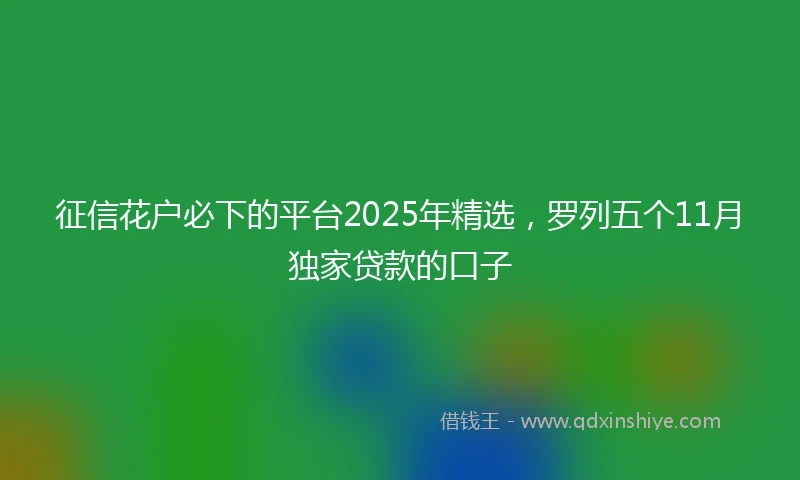 征信花户必下的平台2025年精选，罗列五个11月独家贷款的口子