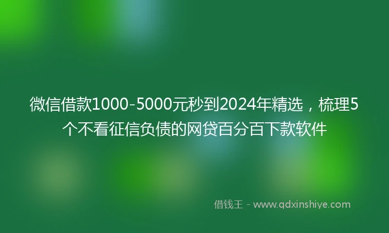 微信借款1000-5000元秒到2024年精选，梳理5个不看征信负债的网贷百分百下款软件