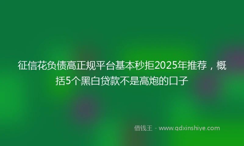 征信花负债高正规平台基本秒拒2025年推荐，概括5个黑白贷款不是高炮的口子