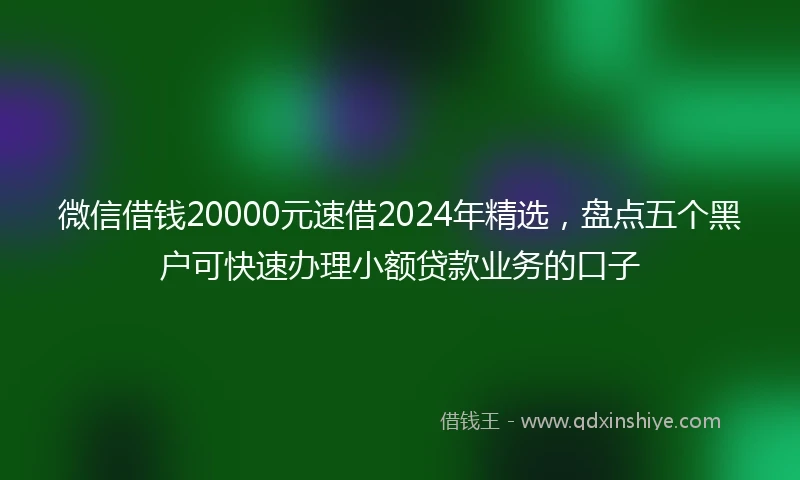 微信借钱20000元速借2024年精选，盘点五个黑户可快速办理小额贷款业务的口子