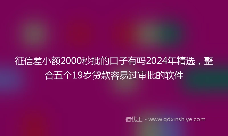 征信差小额2000秒批的口子有吗2024年精选，整合五个19岁贷款容易过审批的软件