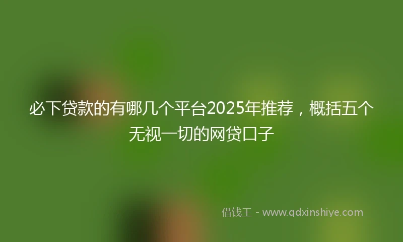 必下贷款的有哪几个平台2025年推荐，概括五个无视一切的网贷口子