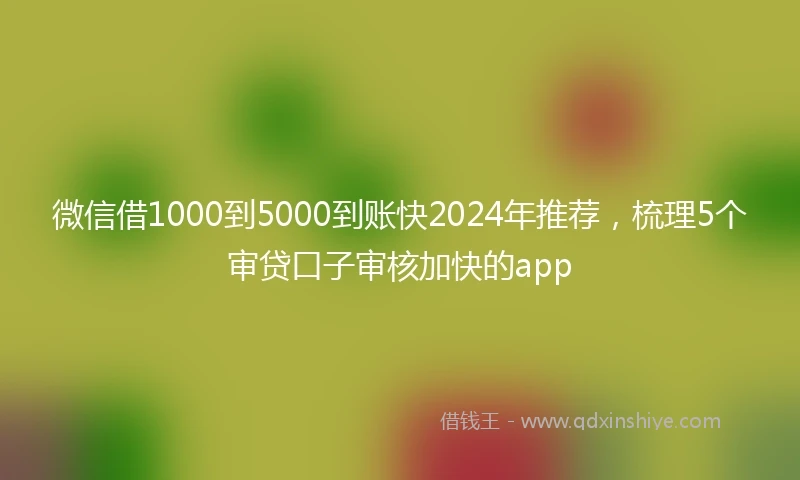 微信借1000到5000到账快2024年推荐，梳理5个审贷口子审核加快的app