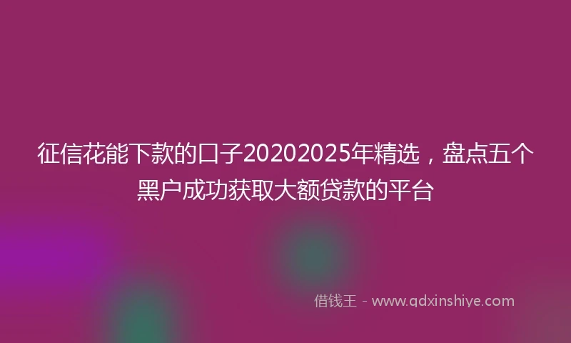 征信花能下款的口子20202025年精选，盘点五个黑户成功获取大额贷款的平台