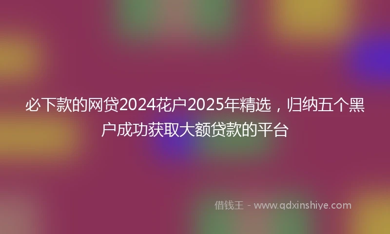 必下款的网贷2024花户2025年精选，归纳五个黑户成功获取大额贷款的平台