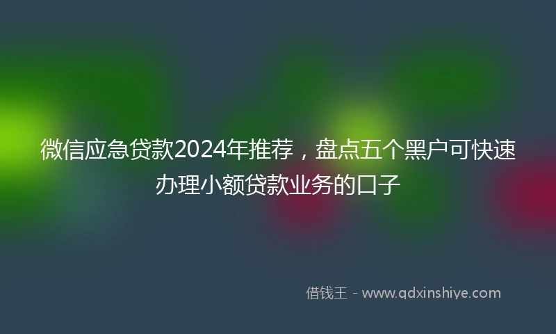 微信应急贷款2024年推荐，盘点五个黑户可快速办理小额贷款业务的口子