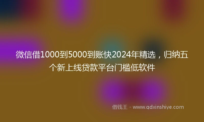 微信借1000到5000到账快2024年精选，归纳五个新上线贷款平台门槛低软件