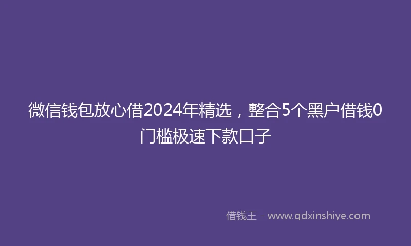 微信钱包放心借2024年精选，整合5个黑户借钱0门槛极速下款口子