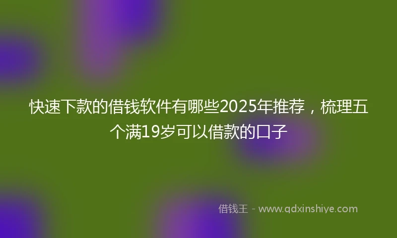 快速下款的借钱软件有哪些2025年推荐，梳理五个满19岁可以借款的口子