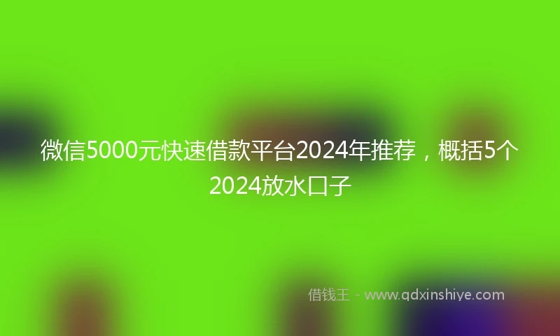 微信5000元快速借款平台2024年推荐,概括5个2024放水口子