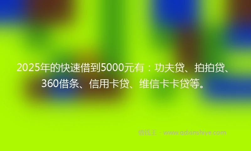 2025年的快速借到5000元有：功夫贷、拍拍贷、360借条、信用卡贷、维信卡卡贷等。