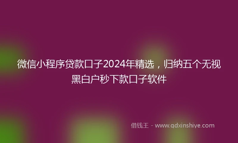 微信小程序贷款口子2024年精选，归纳五个无视黑白户秒下款口子软件