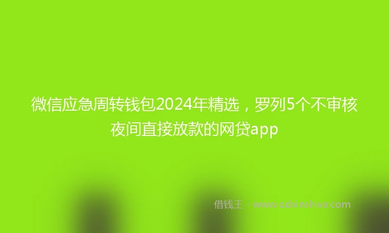 微信应急周转钱包2024年精选，罗列5个不审核夜间直接放款的网贷app