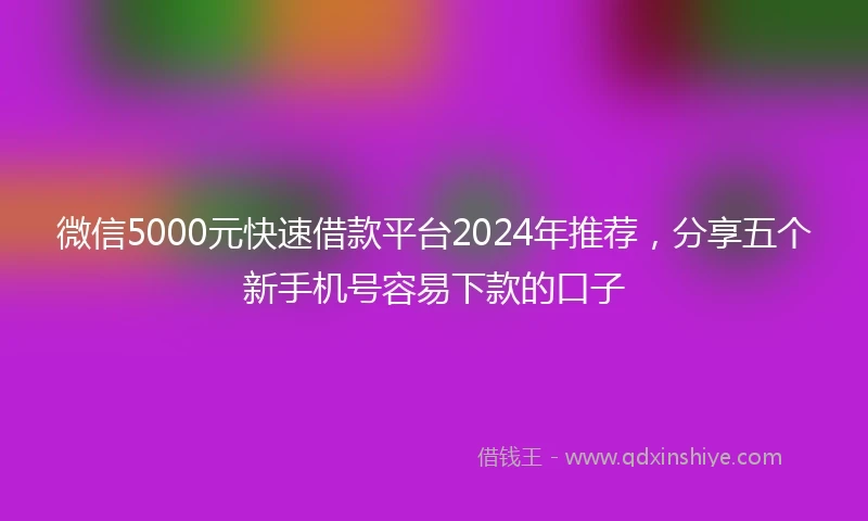 微信5000元快速借款平台2024年推荐，分享五个新手机号容易下款的口子