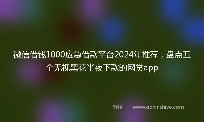 微信借钱1000应急借款平台2024年推荐，盘点五个无视黑花半夜下款的网贷app