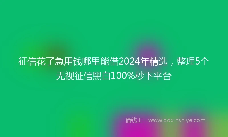 征信花了急用钱哪里能借2024年精选，整理5个无视征信黑白100%秒下平台