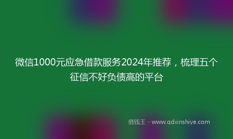 微信1000元应急借款服务2024年推荐，梳理五个征信不好负债高的平台