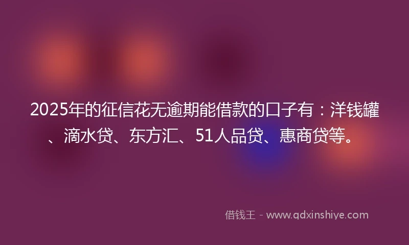 2025年的征信花无逾期能借款的口子有：洋钱罐、滴水贷、东方汇、51人品贷、惠商贷等。