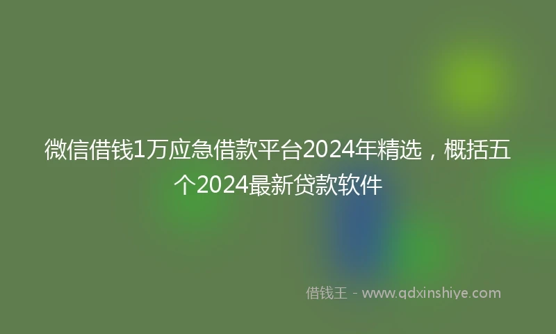 微信借钱1万应急借款平台2024年精选，概括五个2024最新贷款软件