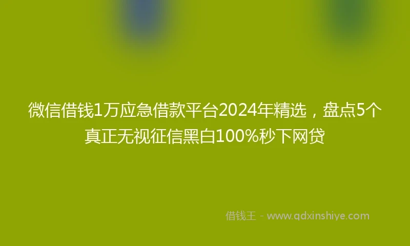 微信借钱1万应急借款平台2024年精选，盘点5个真正无视征信黑白100%秒下网贷