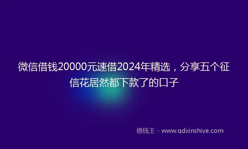 微信借钱20000元速借2024年精选，分享五个征信花居然都下款了的口子