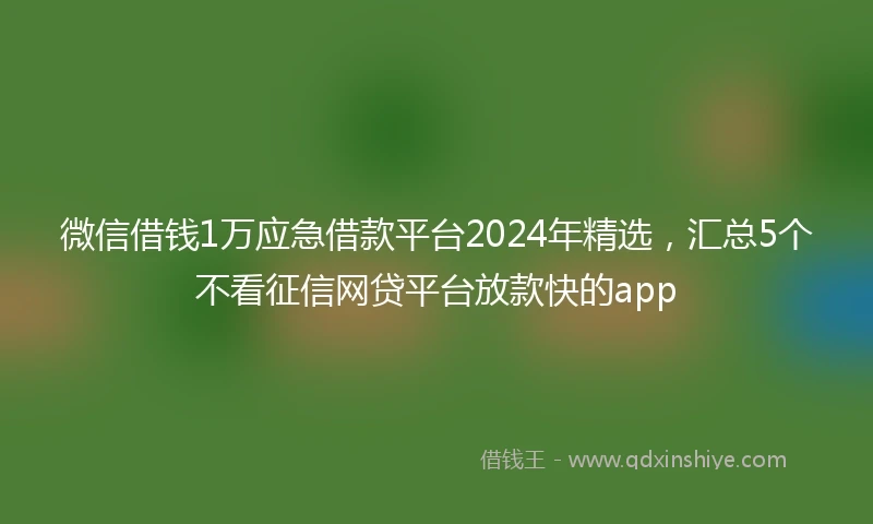 微信借钱1万应急借款平台2024年精选，汇总5个不看征信网贷平台放款快的app