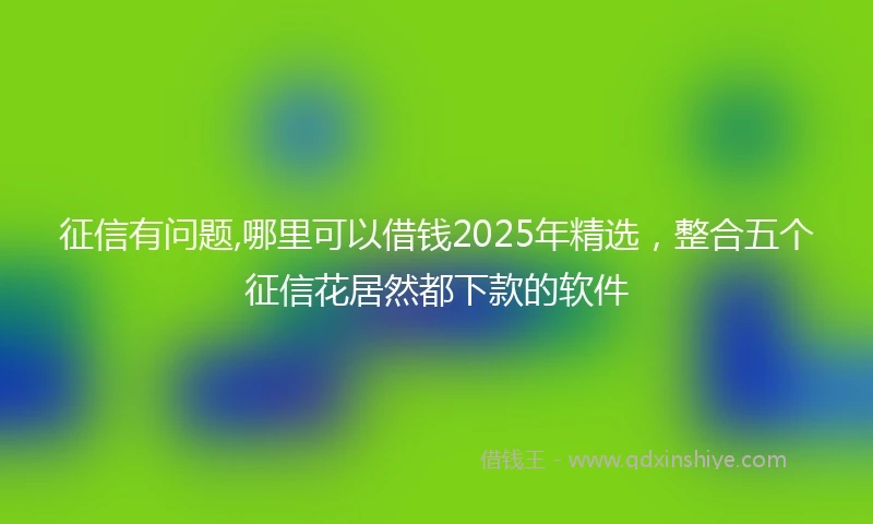 征信有问题,哪里可以借钱2025年精选，整合五个征信花居然都下款的软件