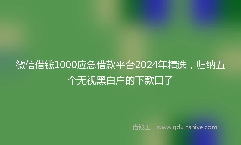 微信借钱1000应急借款平台2024年精选，归纳五个无视黑白户的下款口子