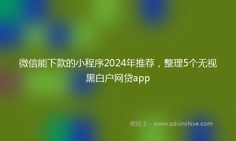 微信能下款的小程序2024年推荐，整理5个无视黑白户网贷app