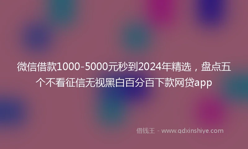 微信借款1000-5000元秒到2024年精选，盘点五个不看征信无视黑白百分百下款网贷app