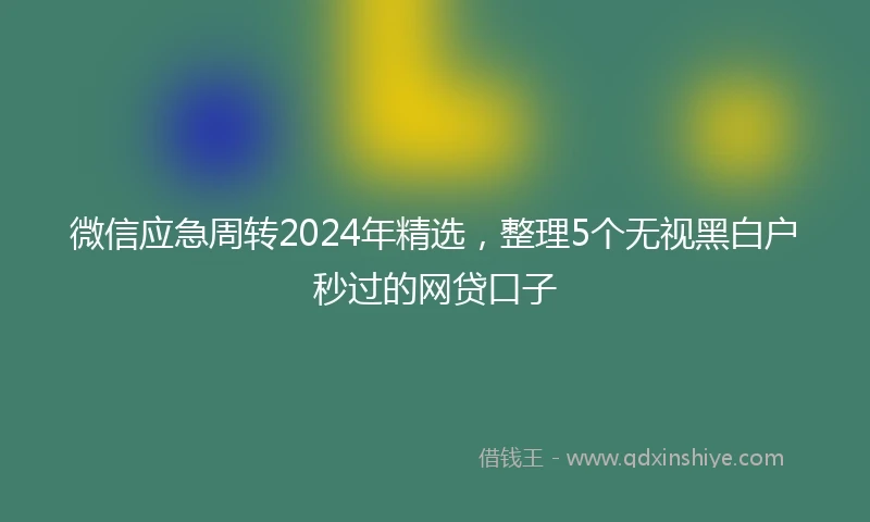 微信应急周转2024年精选,整理5个无视黑白户秒过的网贷口子