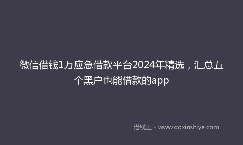 微信借钱1万应急借款平台2024年精选，汇总五个黑户也能借款的app