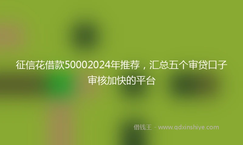征信花借款50002024年推荐，汇总五个审贷口子审核加快的平台