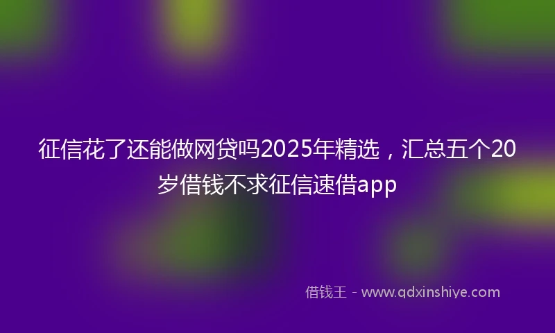 征信花了还能做网贷吗2025年精选，汇总五个20岁借钱不求征信速借app