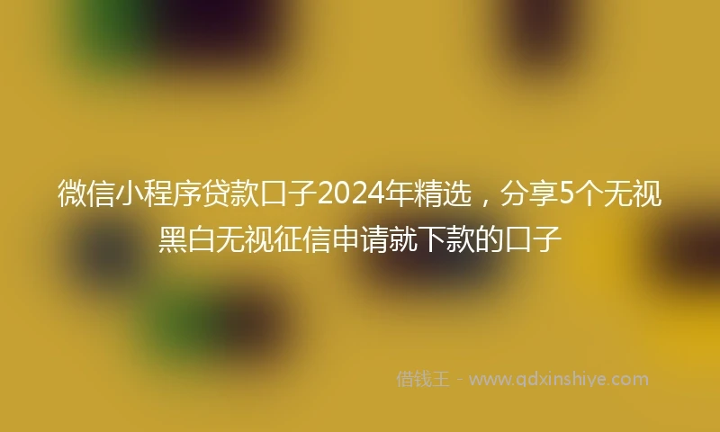 微信小程序贷款口子2024年精选，分享5个无视黑白无视征信申请就下款的口子
