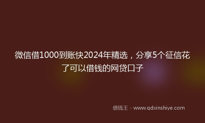微信借1000到账快2024年精选，分享5个征信花了可以借钱的网贷口子