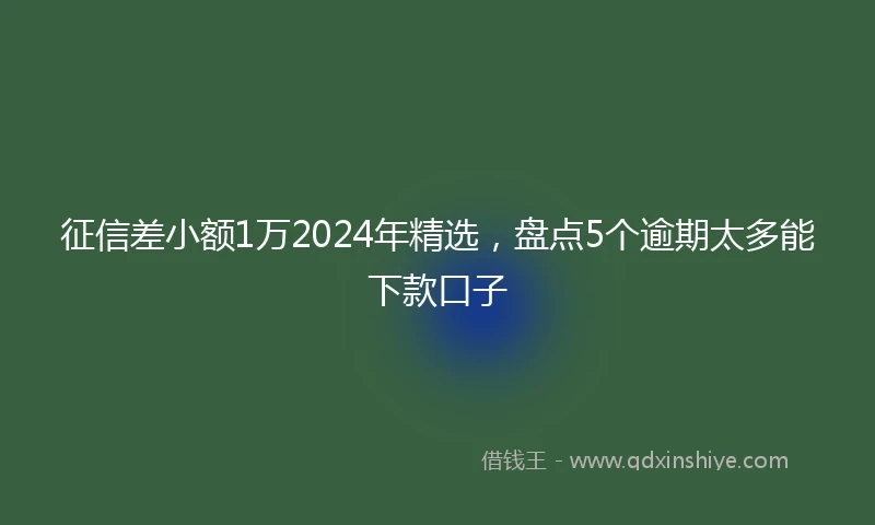 征信差小额1万2024年精选，盘点5个逾期太多能下款口子