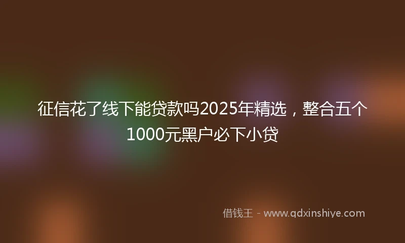 征信花了线下能贷款吗2025年精选，整合五个1000元黑户必下小贷