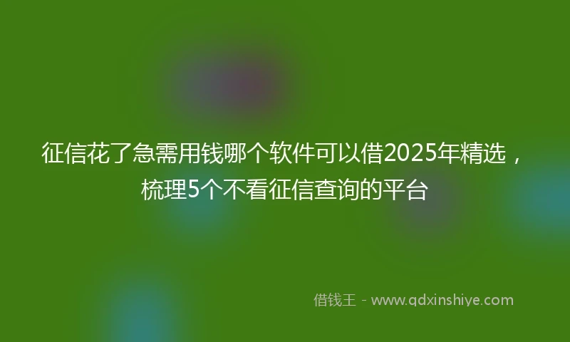 征信花了急需用钱哪个软件可以借2025年精选，梳理5个不看征信查询的平台