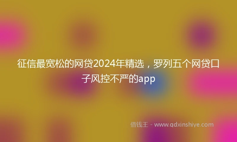 征信最宽松的网贷2024年精选，罗列五个网贷口子风控不严的app