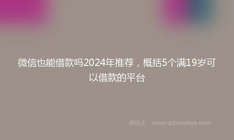 微信也能借款吗2024年推荐，概括5个满19岁可以借款的平台