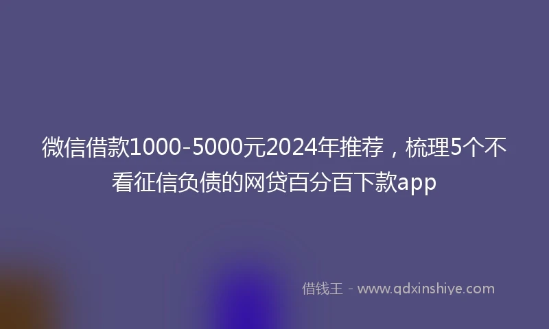 微信借款1000-5000元2024年推荐，梳理5个不看征信负债的网贷百分百下款app