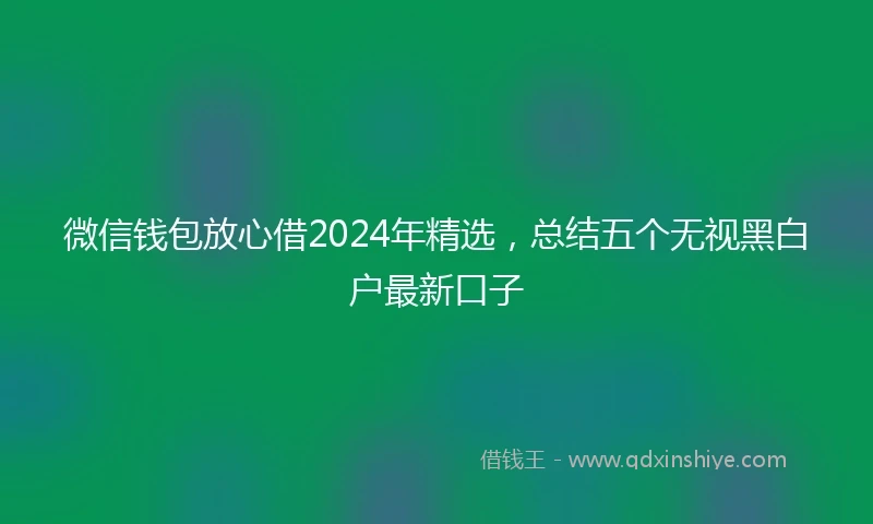 微信钱包放心借2024年精选，总结五个无视黑白户最新口子