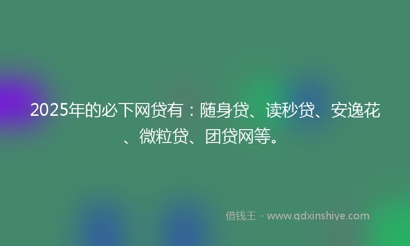 2025年的必下网贷有：随身贷、读秒贷、安逸花、微粒贷、团贷网等。