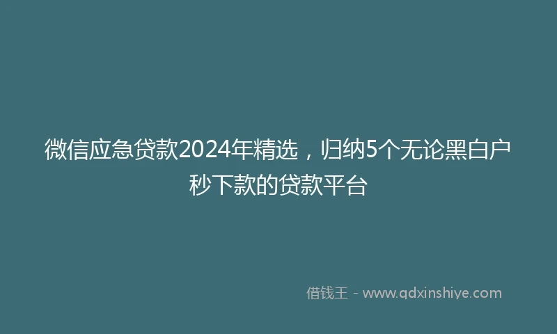 微信应急贷款2024年精选，归纳5个无论黑白户秒下款的贷款平台