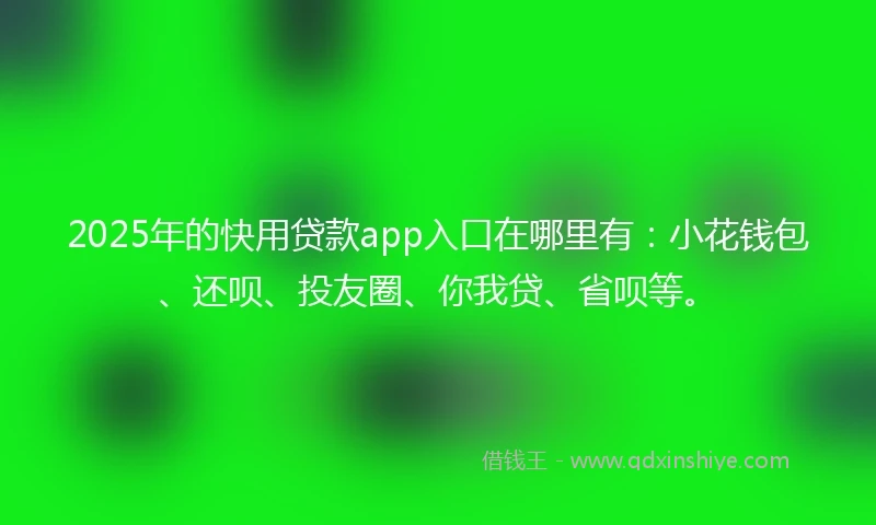 2025年的快用贷款app入口在哪里有：小花钱包、还呗、投友圈、你我贷、省呗等。