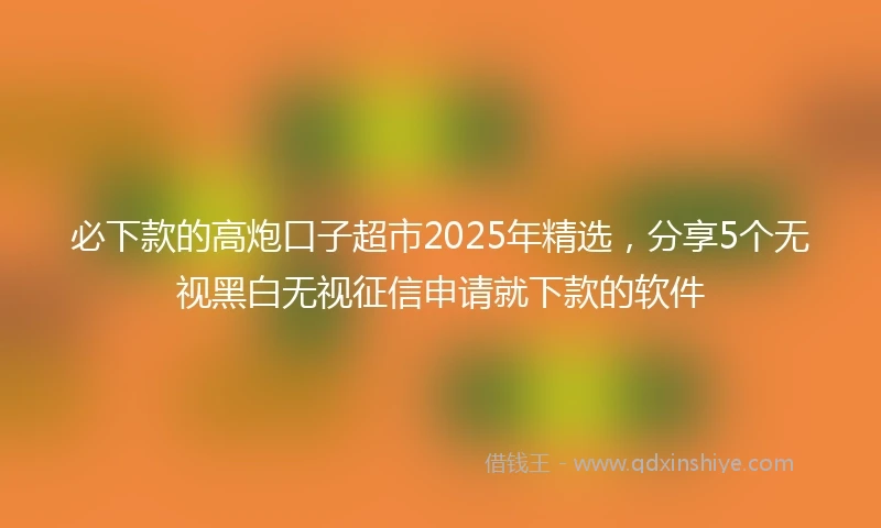 必下款的高炮口子超市2025年精选,分享5个无视黑白无视征信申请就下款的软件