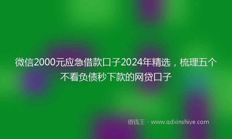 微信2000元应急借款口子2024年精选，梳理五个不看负债秒下款的网贷口子