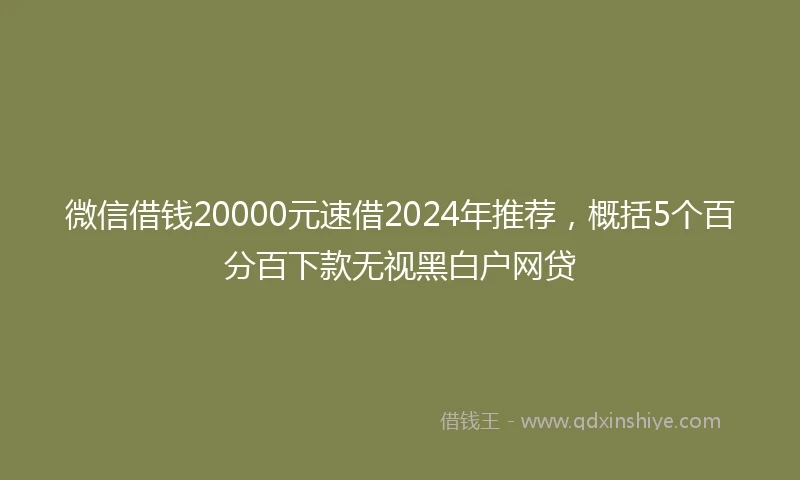 微信借钱20000元速借2024年推荐，概括5个百分百下款无视黑白户网贷
