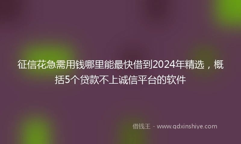 征信花急需用钱哪里能最快借到2024年精选,概括5个贷款不上诚信平台的软件